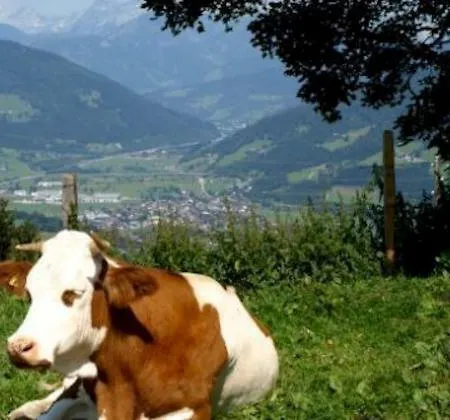 Farm stay Grassbichlhof Altenmarkt im Pongau